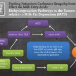 Feeding Potassium Carbonate and Effect on Milk Fatty Acids – Dr. Joseph Harrison