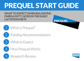 Prequel Start Guide PDF