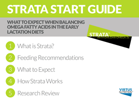 Strata Start Guide Screen